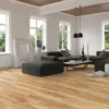 Swiss Krono Noblesse V4 8mm Ripoli Laminate Flooring (D1832) -Cheap Plankora Store noblesse v4 8mm ripoli laminate flooring d1832 p119124 242076 image